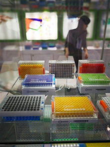 碩華生命科學等全球酷炫醫(yī)療科技云集上海cmef