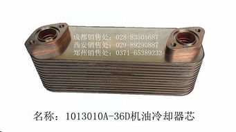 探索1013010 36D 芯碩 技術規格與應用前景